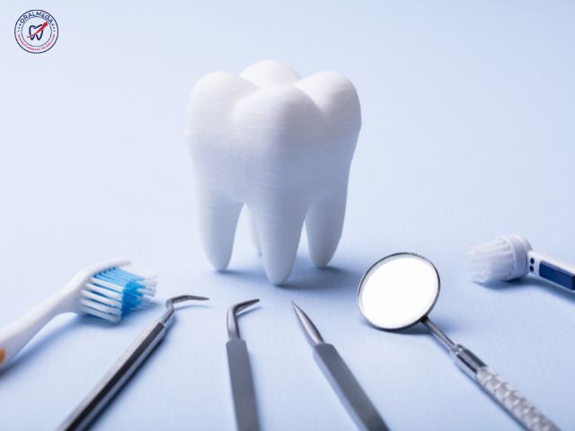 Tooth model with dental tools on blue background.